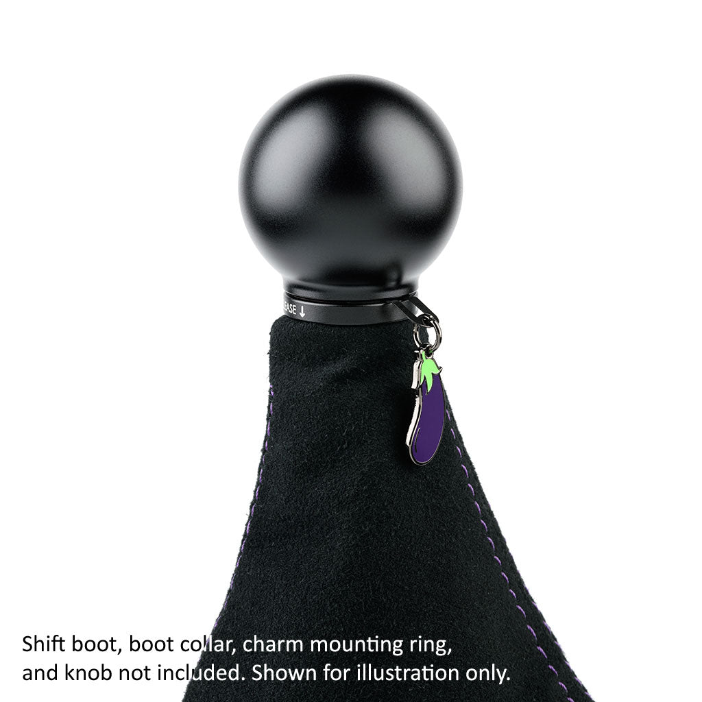Acuity Season 1 Shift Knob Charms