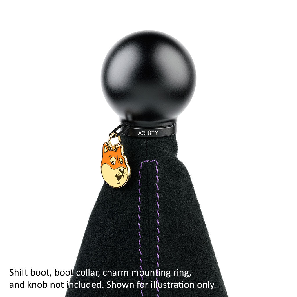 Acuity Season 1 Shift Knob Charms