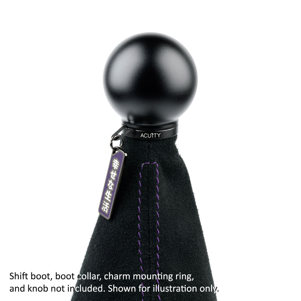 Acuity Season 1 Shift Knob Charms