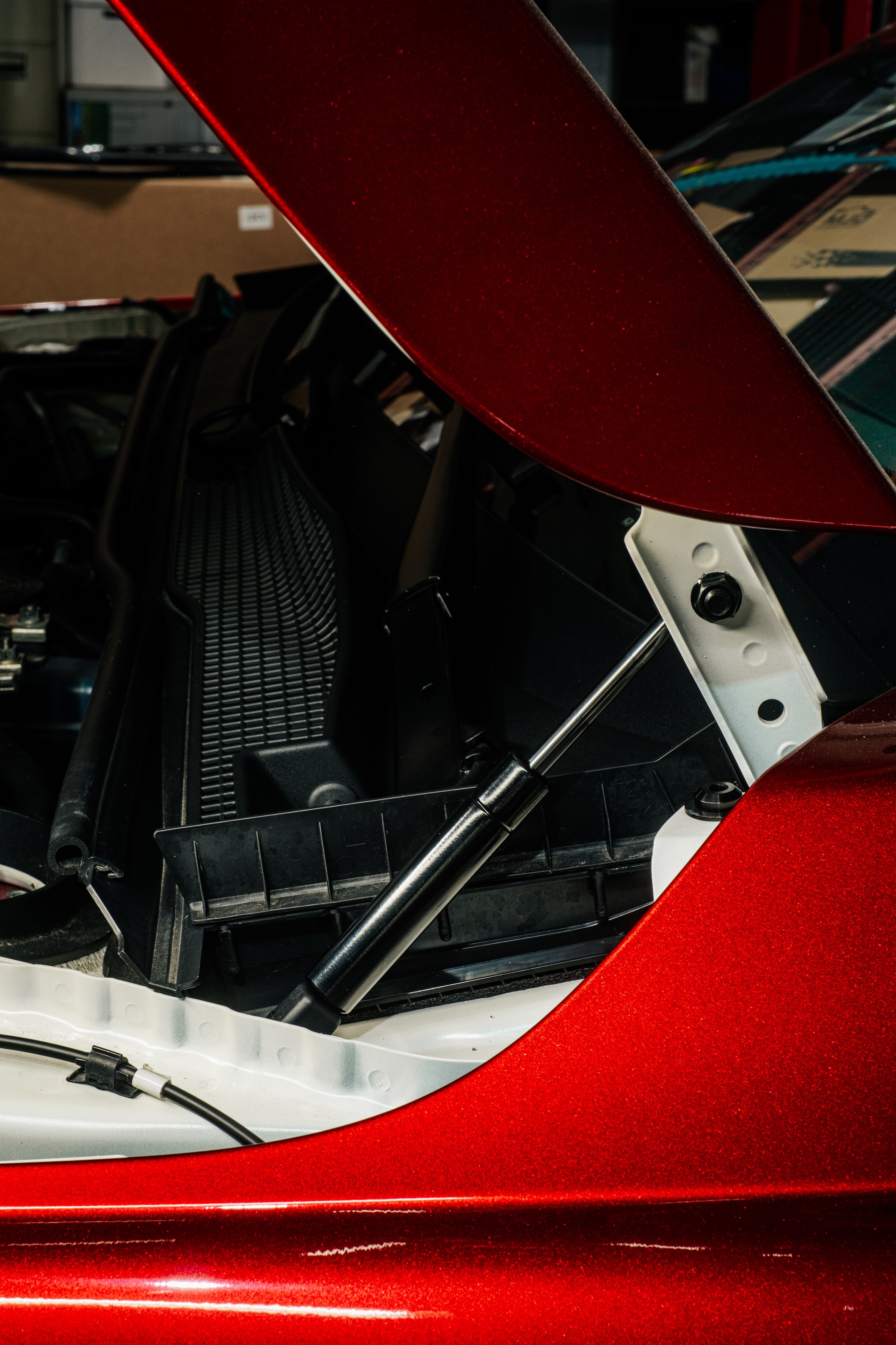 WOT Performance Hood Struts for 2017+ Honda Civic/Integra [FK/FE/FL/DE]