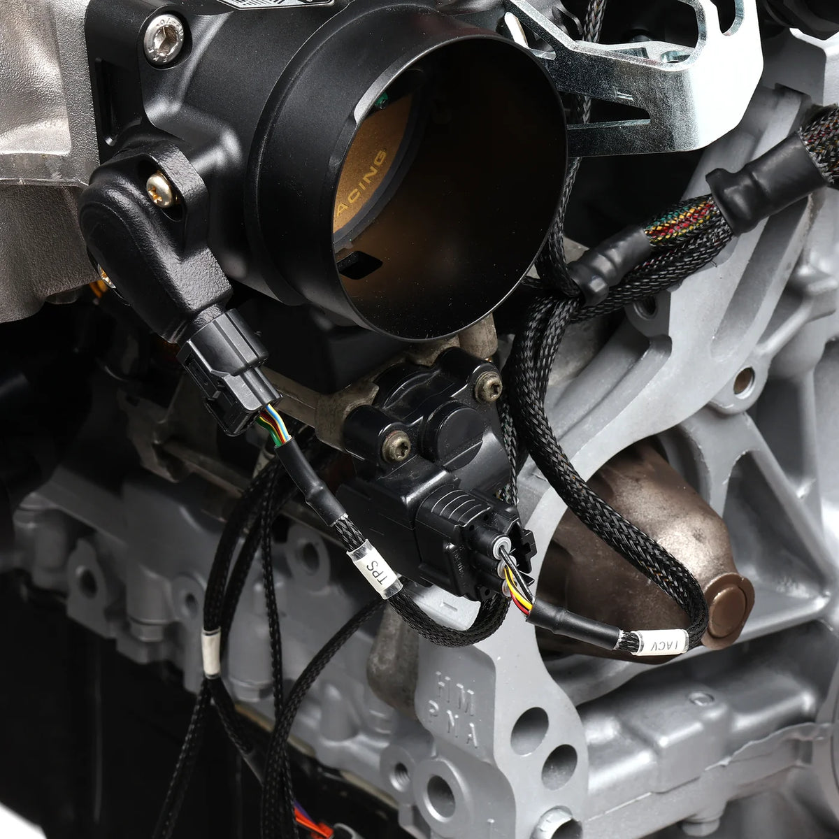 Hybrid Racing Tucked K-Swap Engine Harness