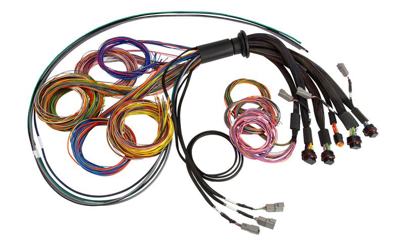 Haltech NEXUS R5 Universal Wire-In Harness - 2.5M (8ft)
