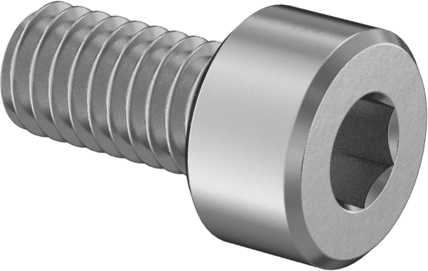 Replacement Socket Screws for PRL MAF Housing (PAIR) - Two Step Performance