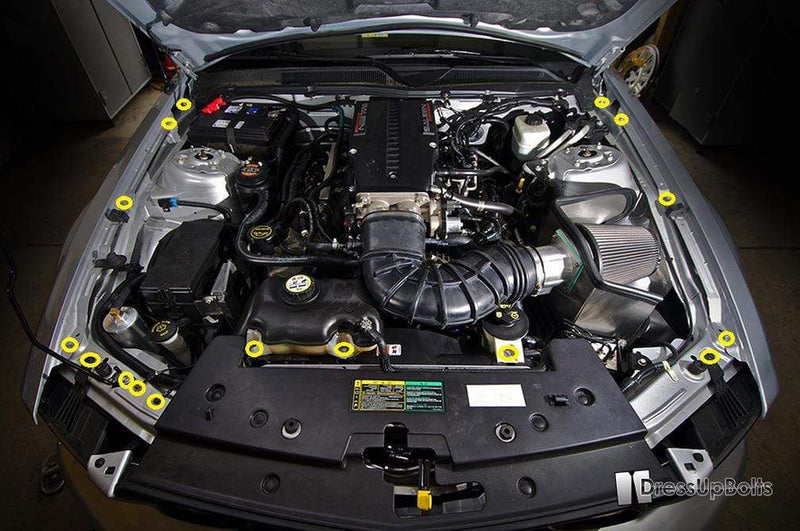 Ford Mustang (2005-2009) Titanium Dress Up Bolts Partial Engine Bay Kit - DressUpBolts.com